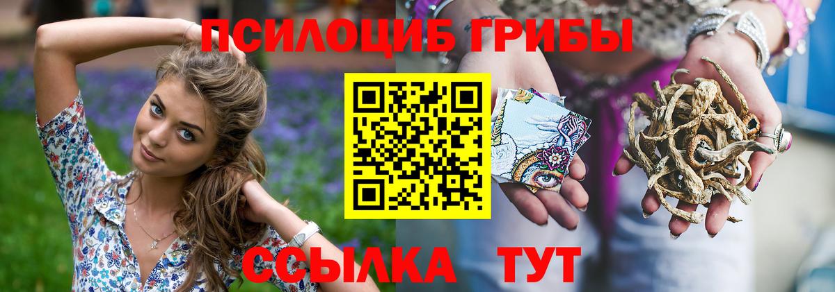 Кохма  Галлюциногенные грибы мухоморы  Вход с VPN 