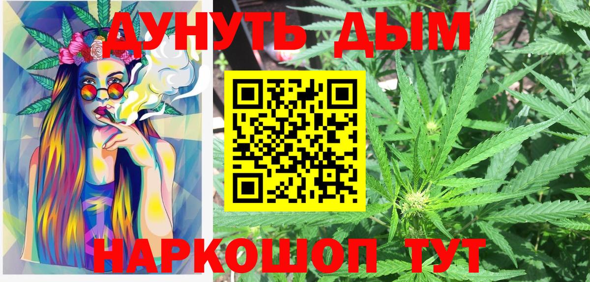 Канабис SATIVA & INDICA Кохма